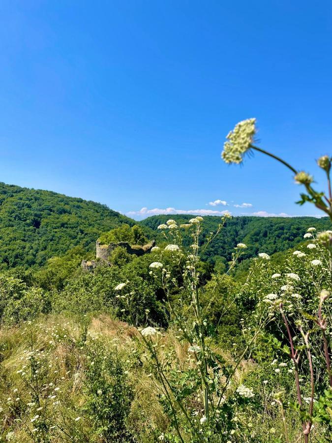 Drozdi Hnizdo Apartment Horni Breckov Luaran gambar
